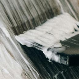 Black Friday Mini Highlight 